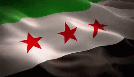 Syria Flag GIF